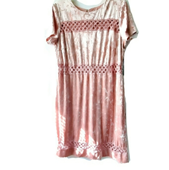 *Signature by Sangia Velvet Shift Dress - Picture 2 of 5